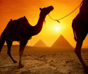 Čo priniesť z Egypta