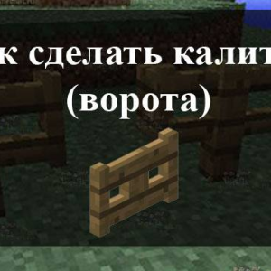 Come rendere in wicket minecraft
