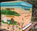 How to make a hive of polystyrene foam