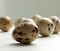 How to cook quail eggs