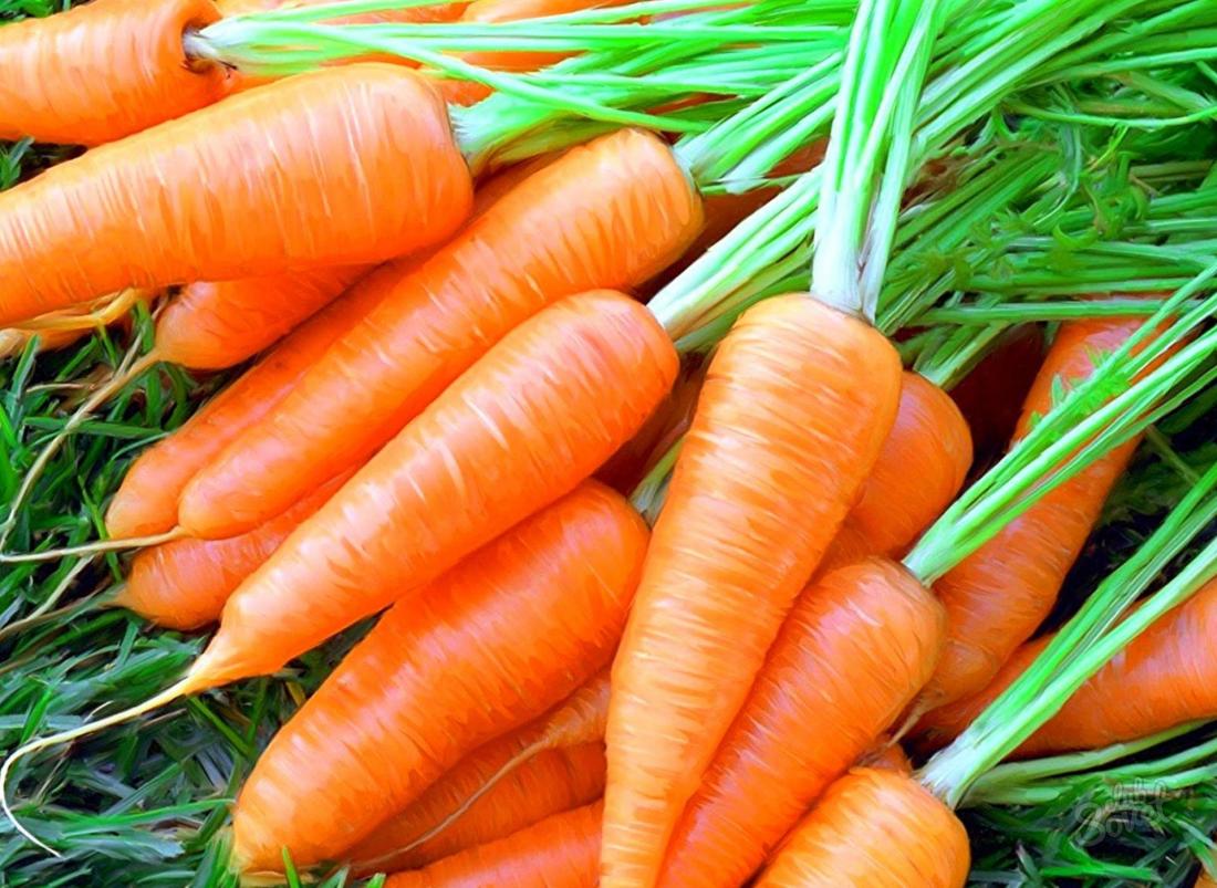 Quali sogni di carote?