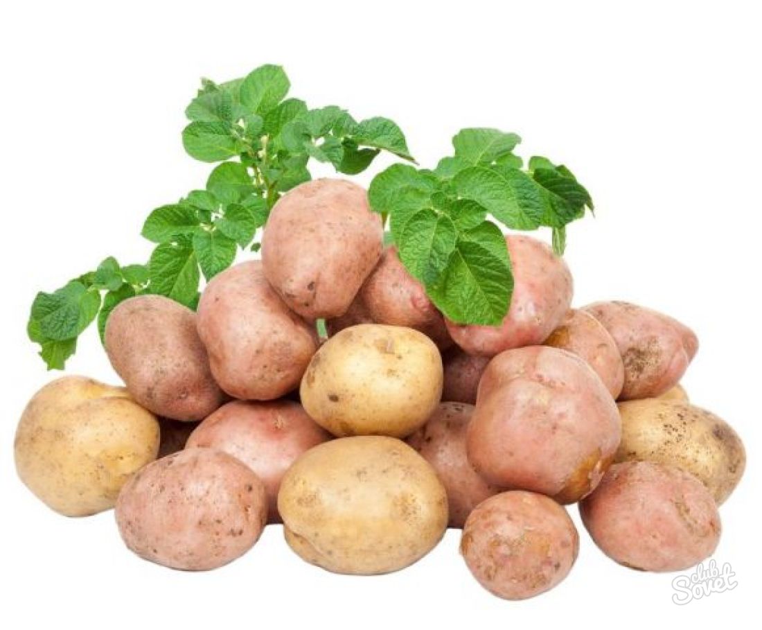 Как да засаждат картофи с дъска