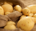 Jak vařit mladé brambory