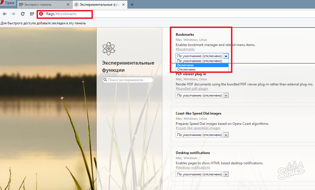 Сохранить закладку на рабочий стол. Закладки опера. Где закладки в опере. Закладки в опере где хранятся. Как добавить в избранное в опере.