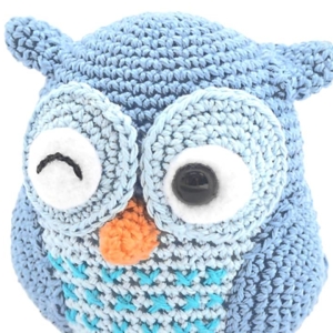 როგორ გვაკავშირებს owl crochet