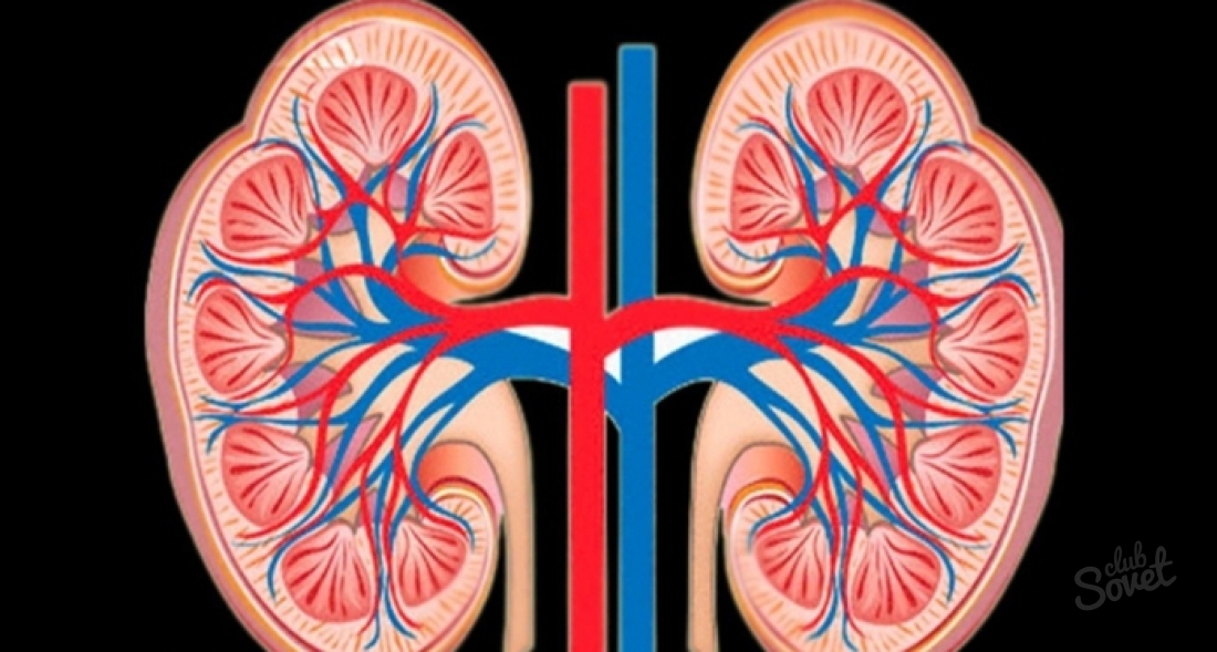 How to prepare for ultrasound kidneys