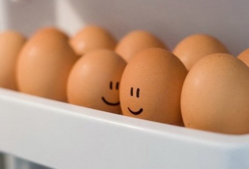 كيفية استخدام السناجب من البيض