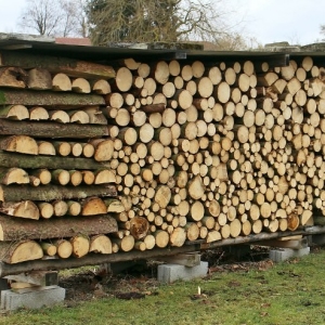 A cosa servono la legna da ardere?