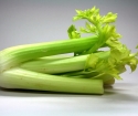 Kako rasti sadnice celera