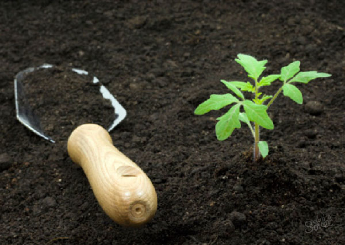 How to make the soil fertile