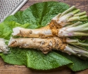 How to make horseradish at home, recipe