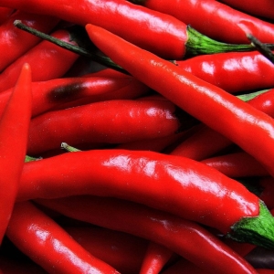 Fotó Hogyan üzembe chili paprika