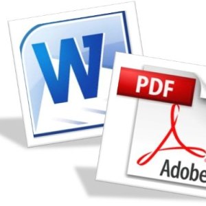 როგორ ჩადება PDF სიტყვა
