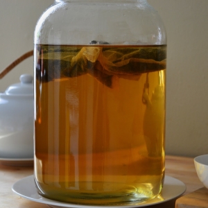 Stock Foto Tea mushroom - how to care and use