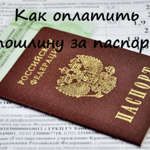 How to pay state duty for passport