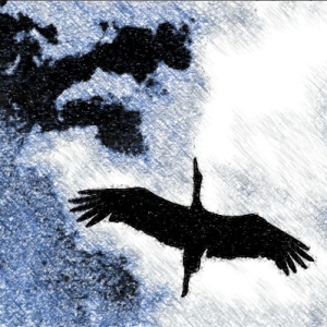 Foto cara menggambar crane