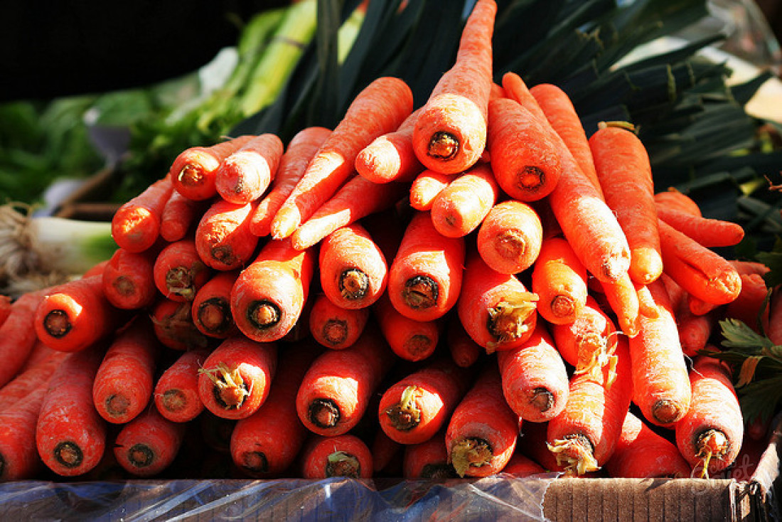 Как да растем голям морков