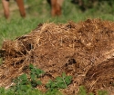 Как сделать компостную яму