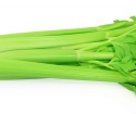 What Celery is useful
