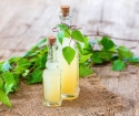 Što je korisno sok od breze za tijelo?
