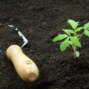 Fotografija kako napraviti plod tla