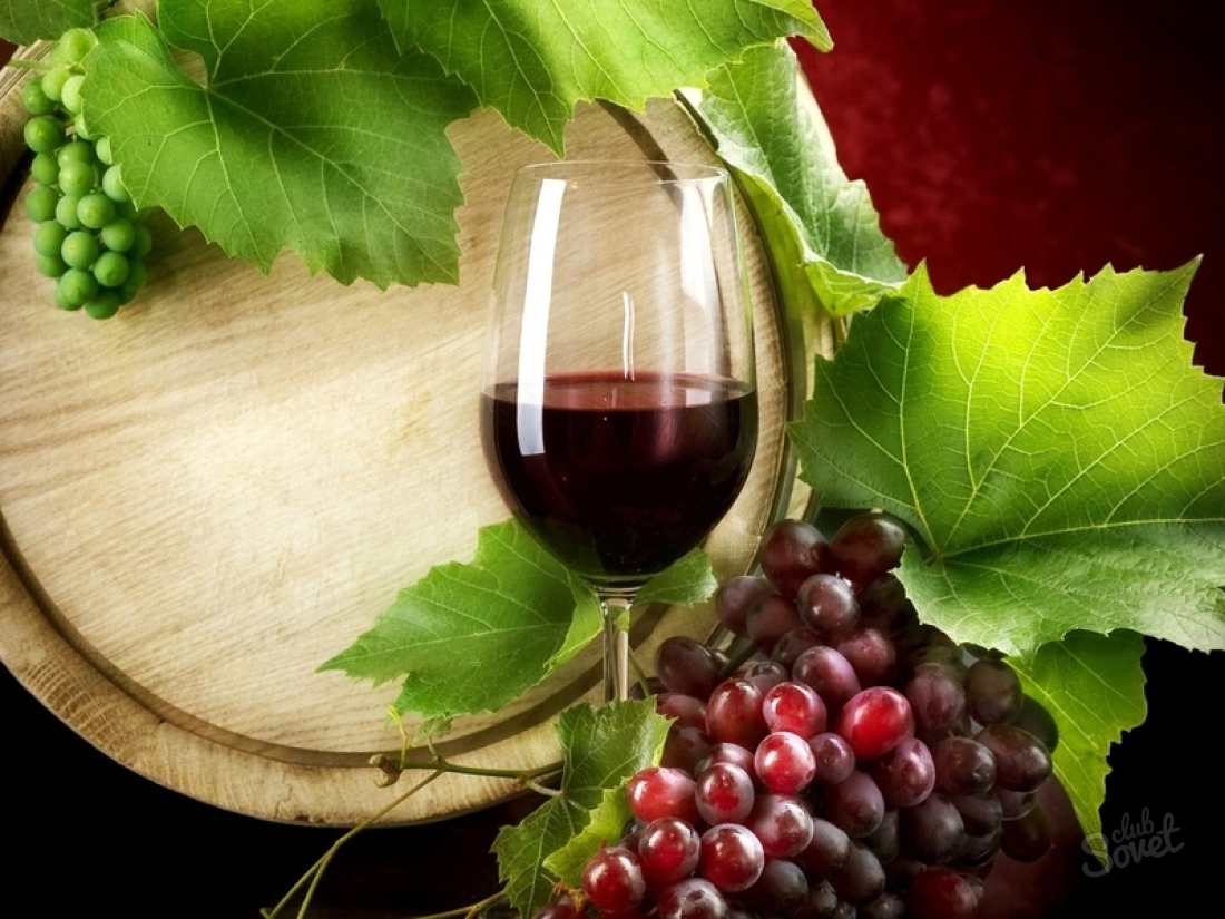 Cara membuat anggur di rumah