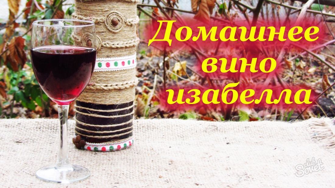 Как приготовить вино из винограда Изабелла в домашних условиях