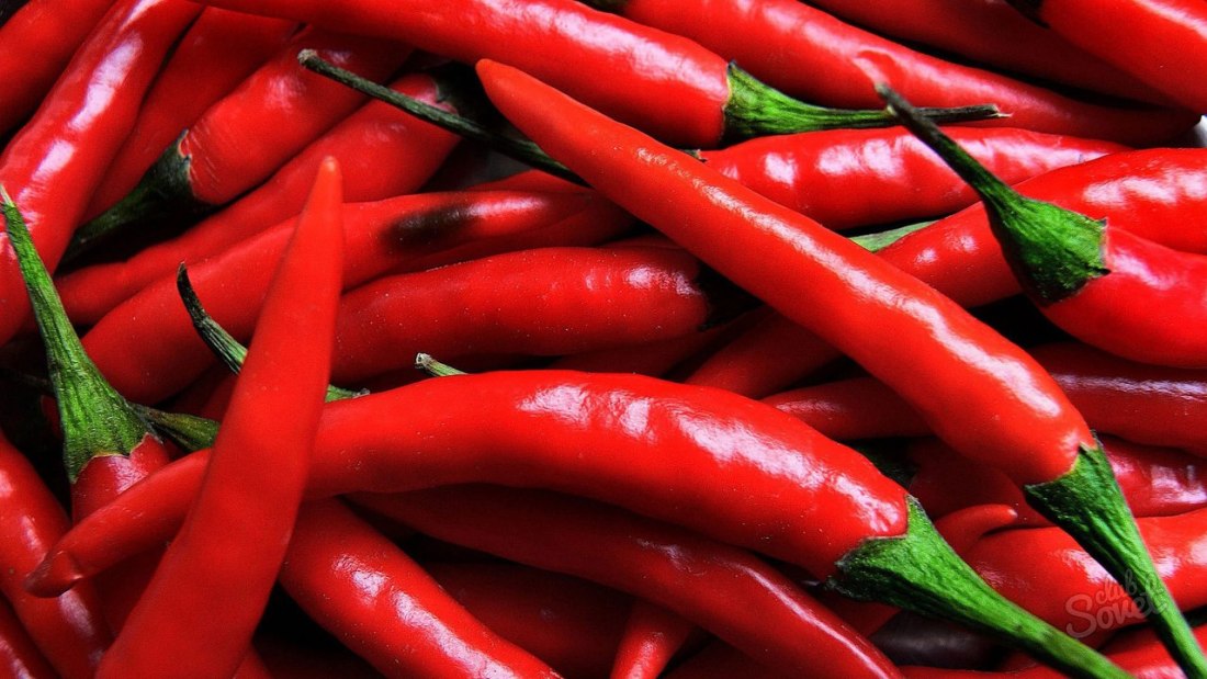 Hur man planterar chili peppar