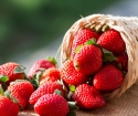 Τι μπορεί να γίνει από τις φράουλες;