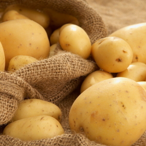 Fotografia de Stock Como cozinhar batatas jovens