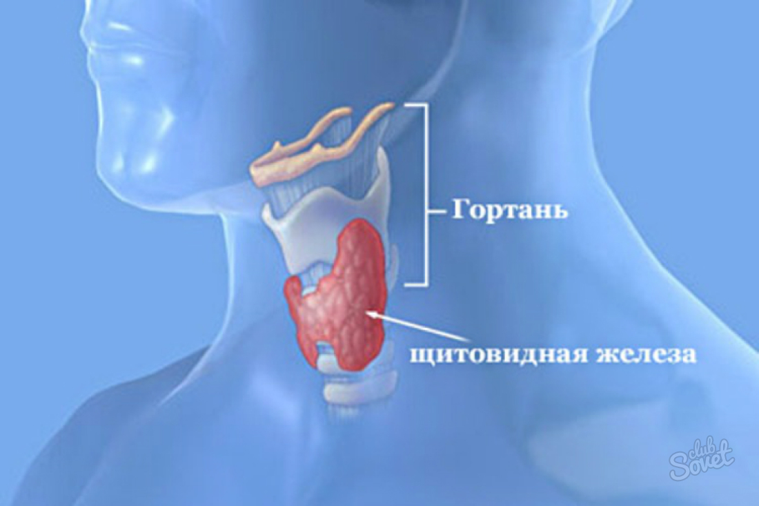 Come controllare la ghiandola tiroidea