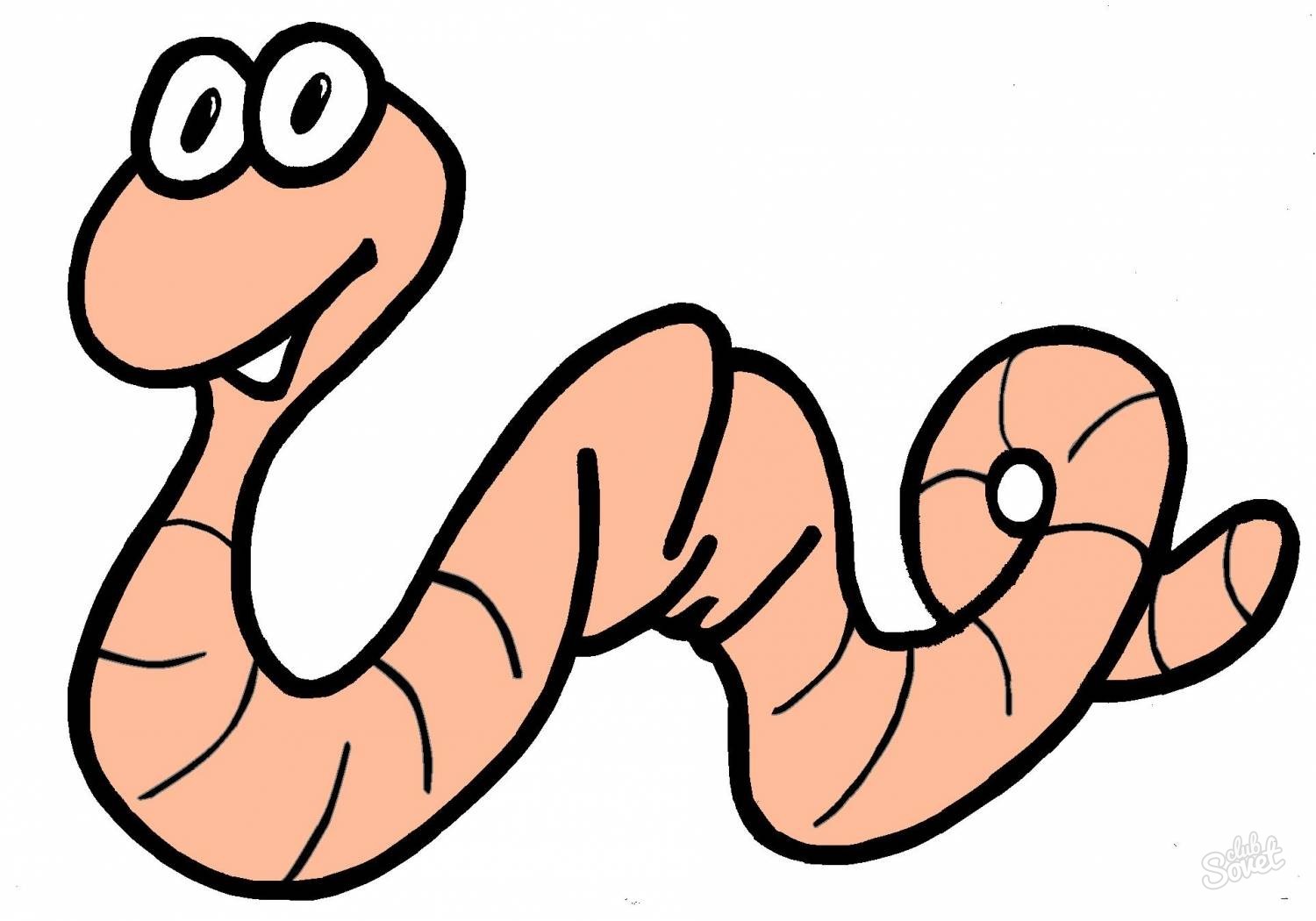 Какво червеи приличат