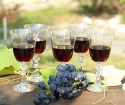 Домашнее вино не бродит – что делать?