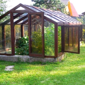Hur man gör ett växthus från fönsterramar