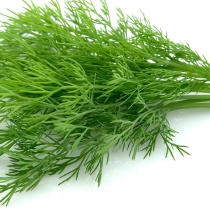 Photo How to freeze dill for the winter?