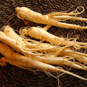 Bourse Foto Ginseng Root pour hommes