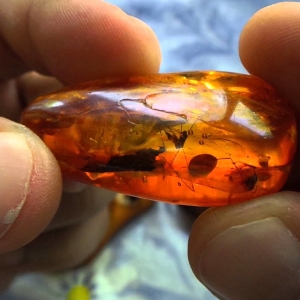 Comment déterminer l'authenticité d'ambre?