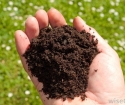 كيفية تحديد حموضة التربة