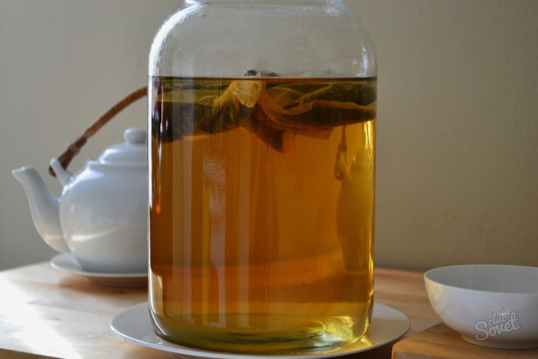 Чай гъби - как да се грижи и използването