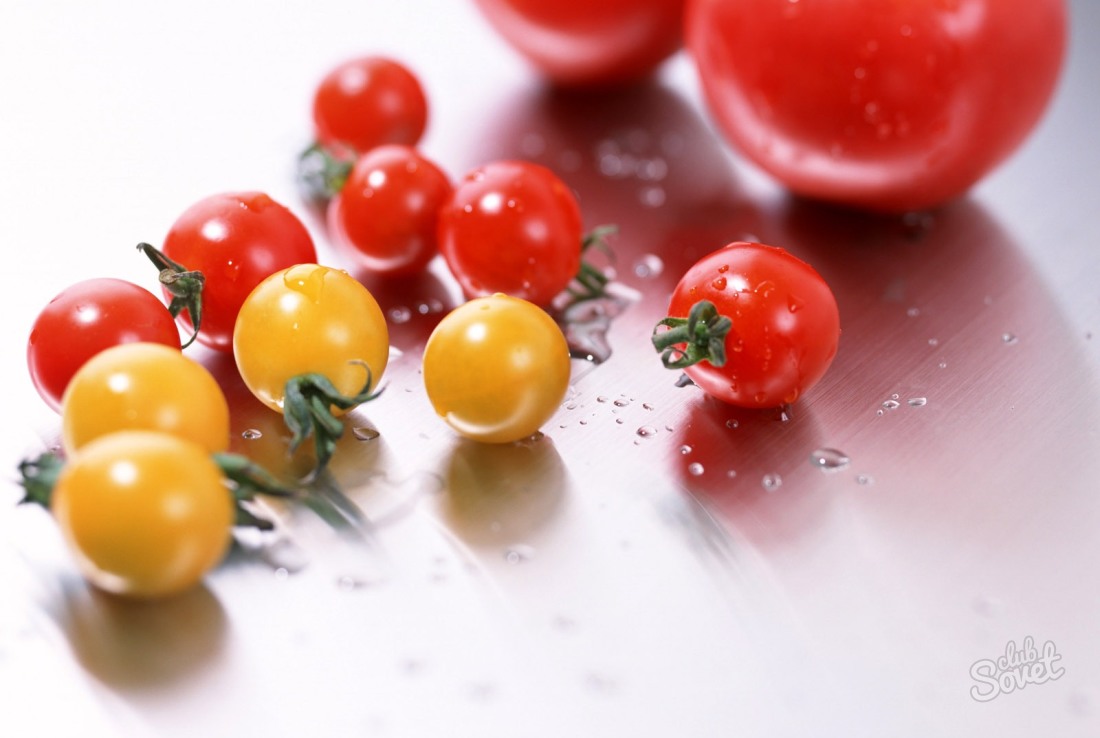 Jak rosnąć pomidory cherry
