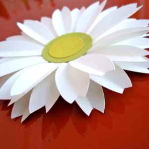 ภาพถ่ายวิธีการทำดอกคาโมไมล์จากกระดาษด้วยมือของคุณเอง?