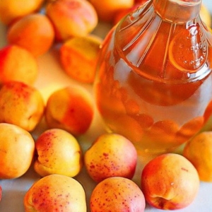 Photo How to make wine from apricot at home?