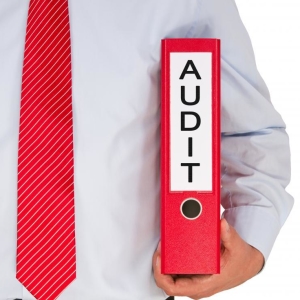 What is financial audit