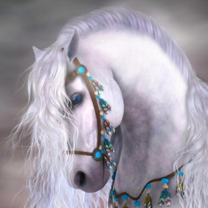 Che sogna di un cavallo bianco?
