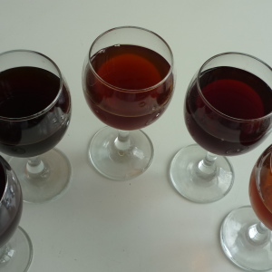 Stock Foto Wine from mulberry at home