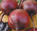 How to plant dining beets