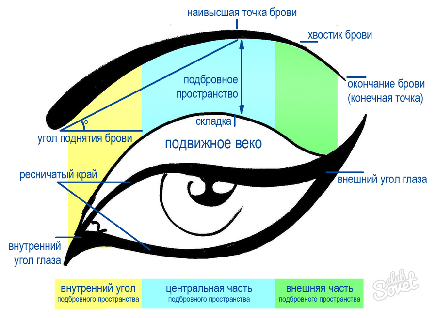 Eye corner