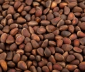 Cedar nuts - benefit and harm