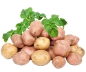 Πώς να φυτέψετε πατάτες με ένα ινοσανίδες
