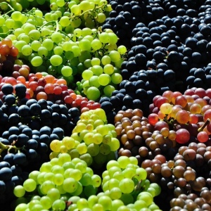 Photo What can be done from grapes?